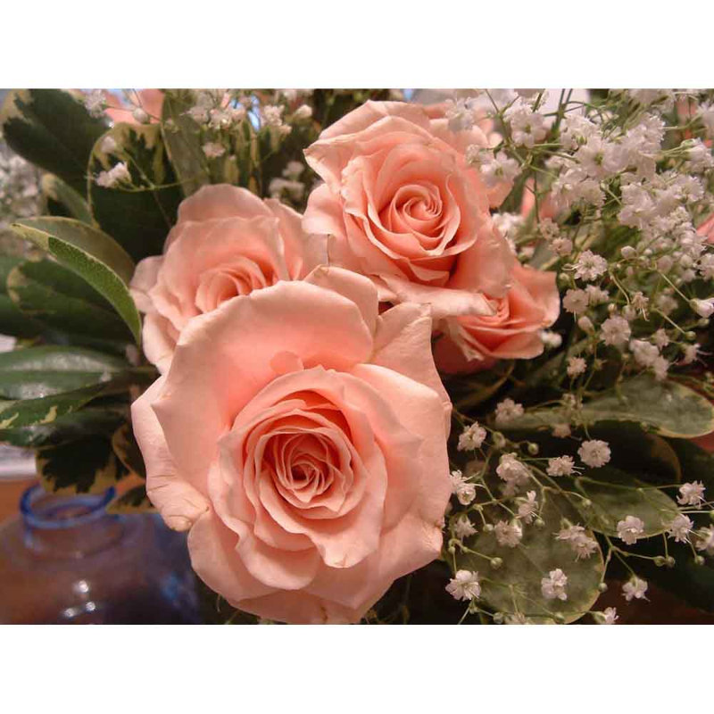 Décalcomanie murale rose ii , H 18 po x l 24 po