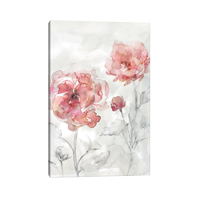 Blush Botanical II by Carol Robinson - Print on Canvas, Wrapped Canvas, 30.48 cm H x 45.72 cm W