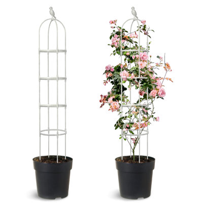 Obélisque treillis pour plantes grimpantes