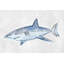 Cheatham «The Great Shark», reproduction sur toile tendue-766459939