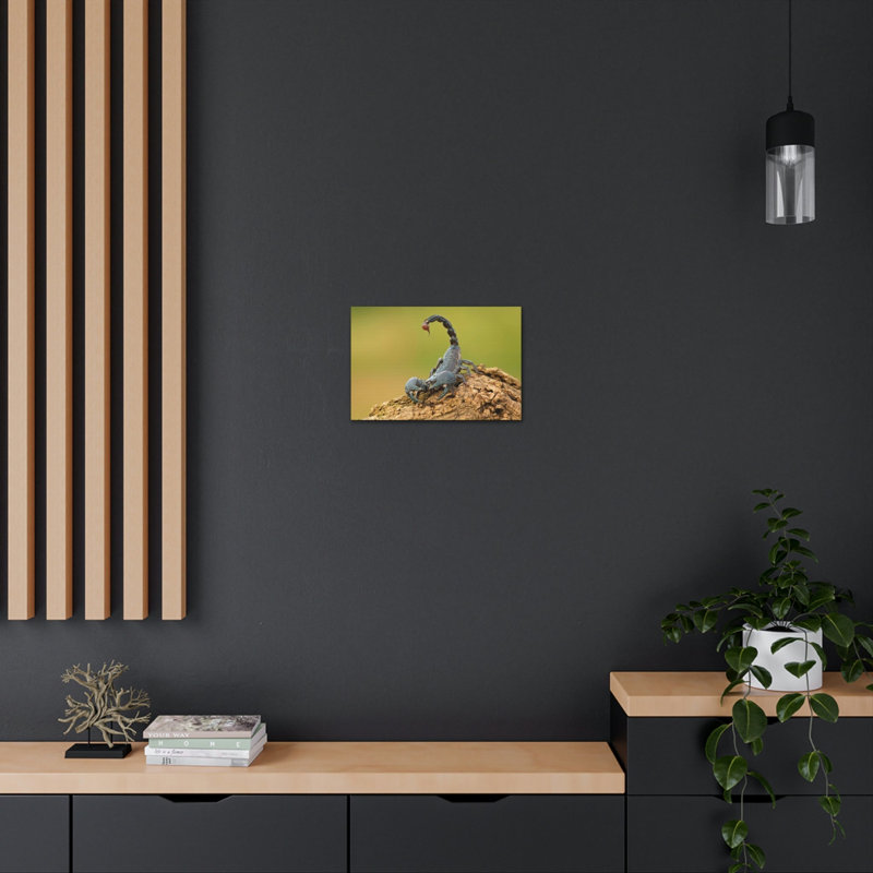 Art mural majestueux Scorpion, H 12 po x l 16 po