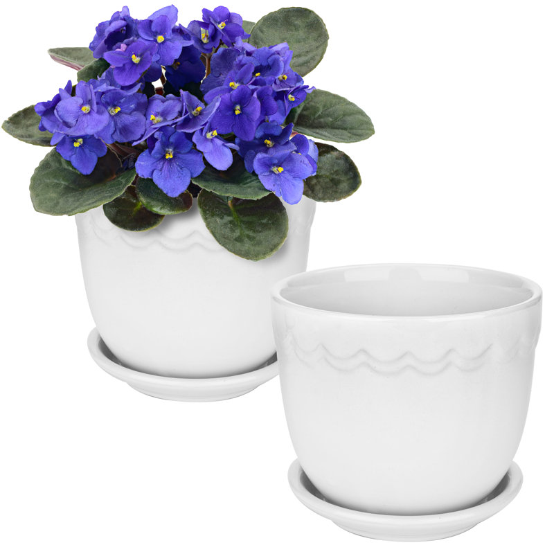 Jukerius Ceramic Pot Planter