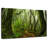 Alvord Mossy Nepal Jungle-107702167