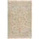 Ostrander Wool Oriental Indoor Rug