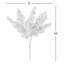 19 plantes-94734820