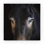 «Look at Me», reproduction de photo sur toile tendue-25678622