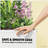 Stylish Planter Box,Raised Garden Bed,Vegetable Box-129086868