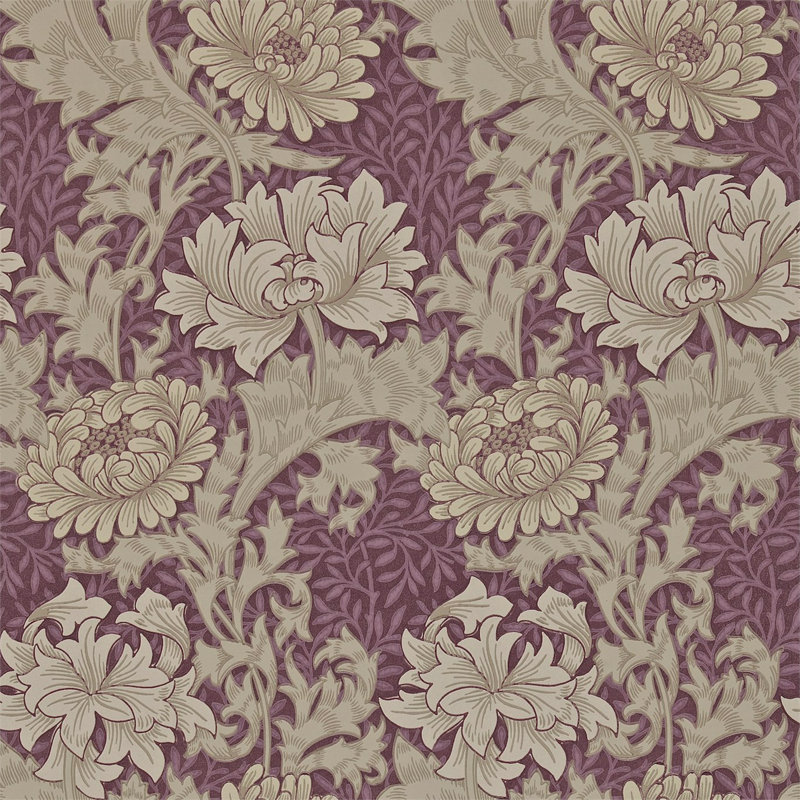 Chrysanthemum Wallpaper, Wine