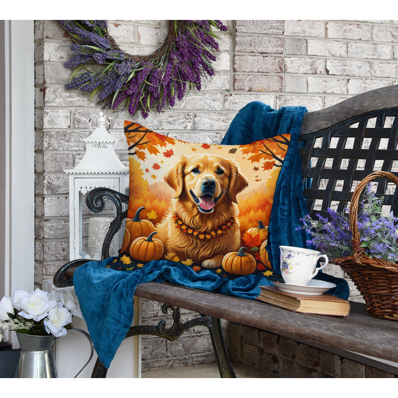 Other/No Pattern Outdoor Throw Pillow, 18" x 18"