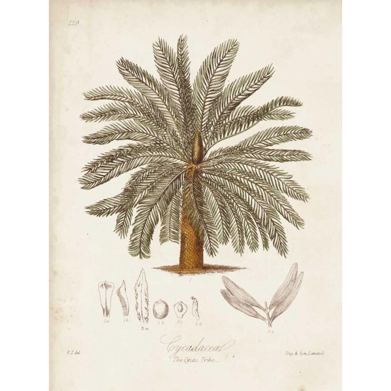Bayou Breeze Tropical Palm - Thumbnail 2