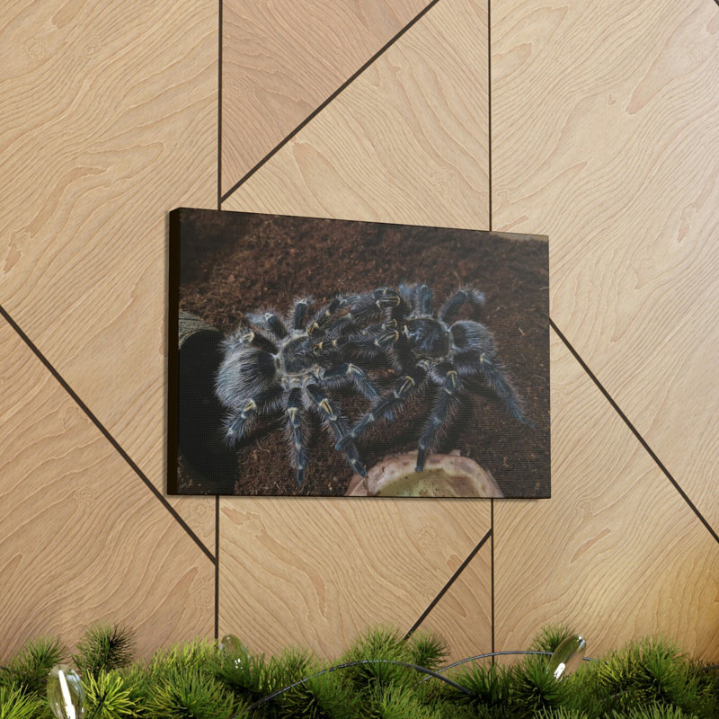 No Frame Print on Canvas, 30.48cm H x 40.64cm W