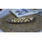 Bayou Breeze Iveta Aluminum Tray-1623993159