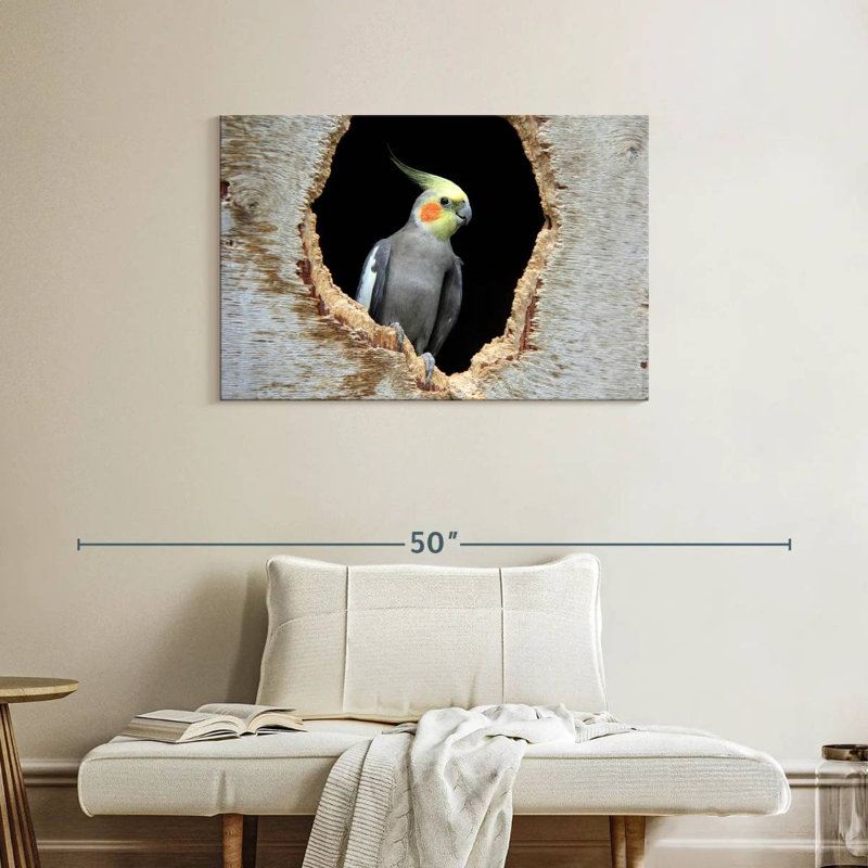 Cockatiel Brampt dans un trou, H 24 po x l 36 po