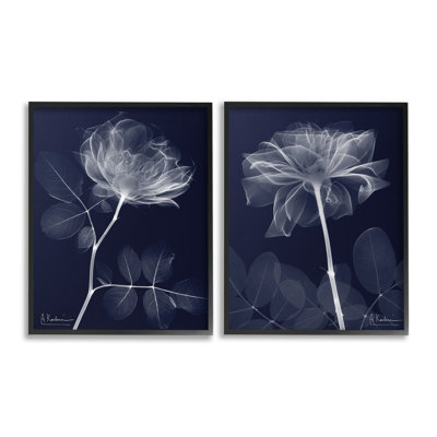 Cadre simple X-Ray Blossom par Albert Koetsier, 2 pièces sur toile