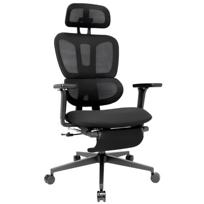 Ergonomic Office Chair with Footrest, High-back Computer Chair with Dynamic Lumbar Support, 2D Headrest & 4D Armrests, Sponge Cushion & Mesh Back, Hom