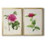 «Pretty Pink Botanicals I», ensemble de 2 reproductions d'art sur toile encadrées-107163657-107163667