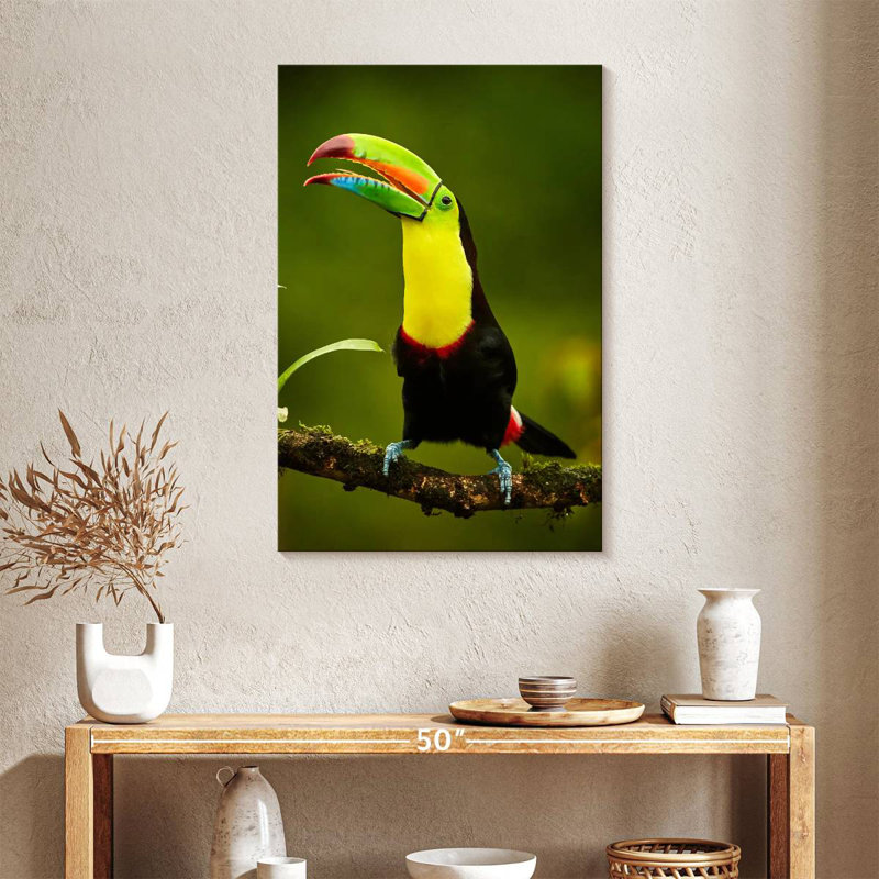 Toucan arc-en-ciel Brampt, H 36 po x l 24 po