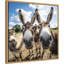 «Funny Animal Donkey Selfie» par The Creative Bunch Studio, reproduction d'art sur toile encadrée-1074205635