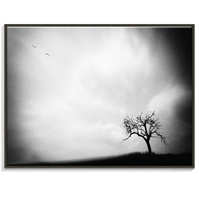 Print on Canvas, 41cm H x 51cm W, Black Floater Frame