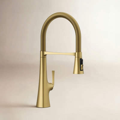 Graze Kitchen Faucet