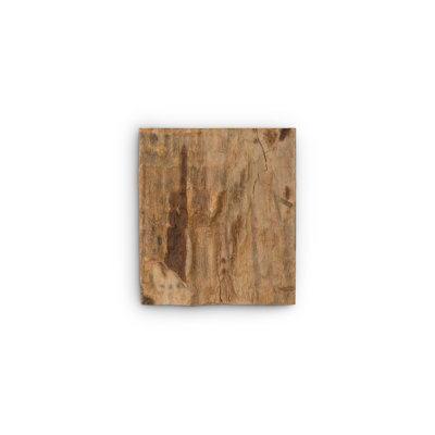 Cast Naturals Wall Décor