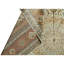 Oriental Area Rug