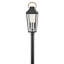 Tête de lanterne câblée 1 lumière Dawson H 29,75 po Dawson