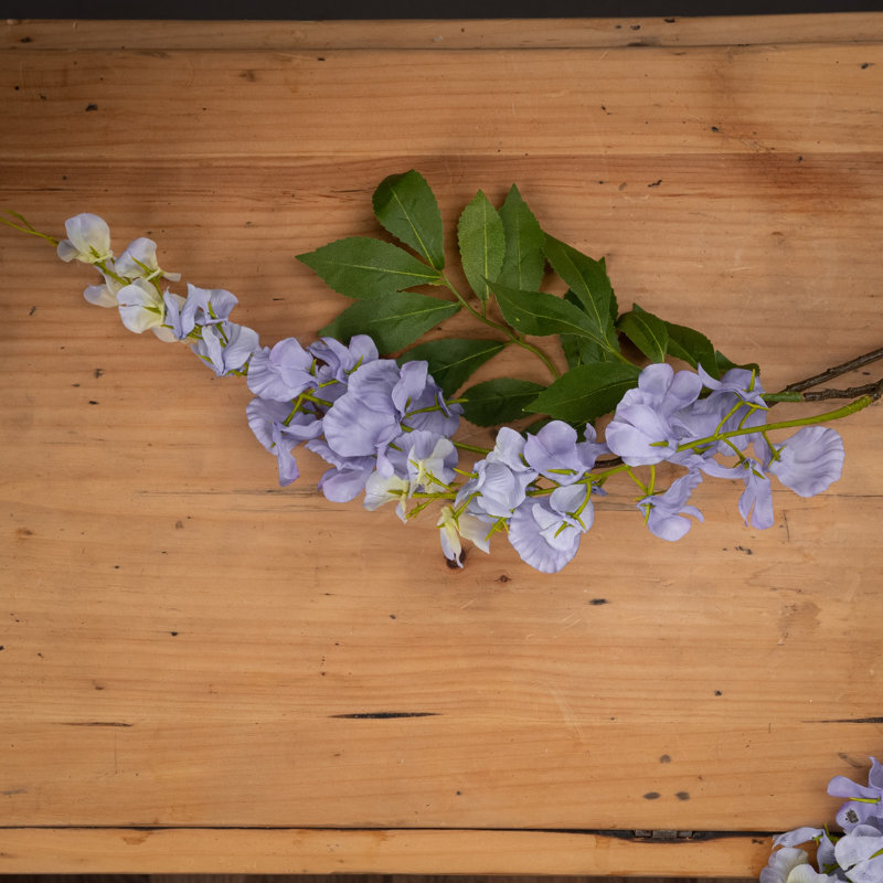 Anastasija Arrangement