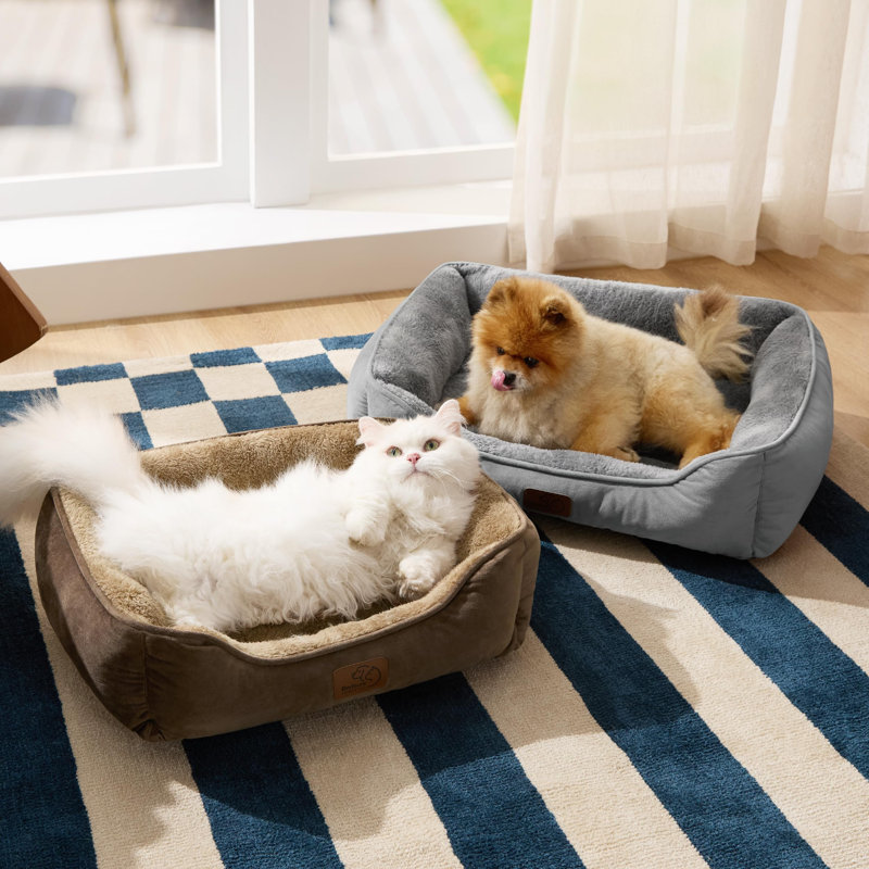 Lits pour chats