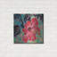 Bay Isle Home™ « Hawaiian Beauty I » par Carolee Vitaletti, œuvre d'art murale en métal, 61 cm x 61 cm