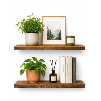 Set of 2 Floating Plant Shelves, Natural Wood Wall-Mounted Shelves with Heavy-Duty Hidden Metal Brackets, Anti-Slip Tilt, 15.7 x 7.9 Inch