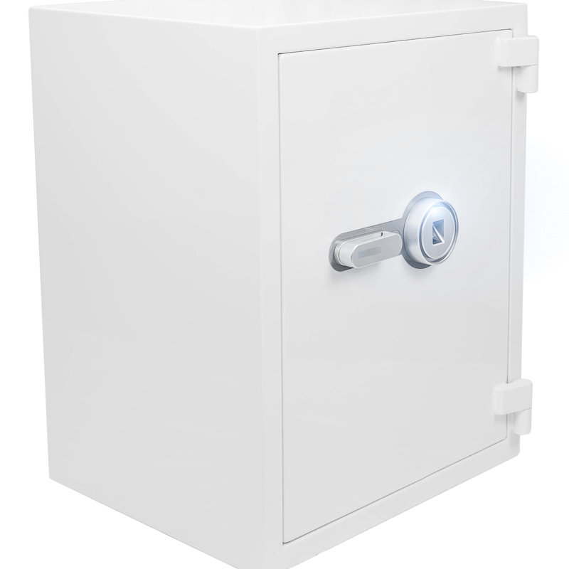 Coffre-fort biométrique 4,48 pi cubes, blanc - jusqu'à 1200F pour 0,5 heure, documents de rangement spacieux, bijoux, argent comptant, sécurité avancée avec technologie, fabrication en acier robuste de couleur résistante au feu
