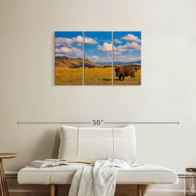 Bison de Brampt dans le parc national, H 20 po x l 33 po