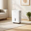 Dehumidifier for Home with 3L Water Tank