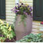Baril de pluie plat-29145402-29145401