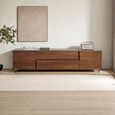Minimalist TV Stand with Spacious