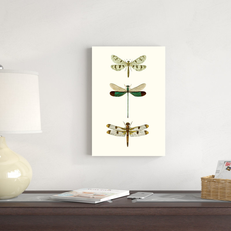 «Entomology Series VII», peinture sur toile, H 18 po x l 12 po