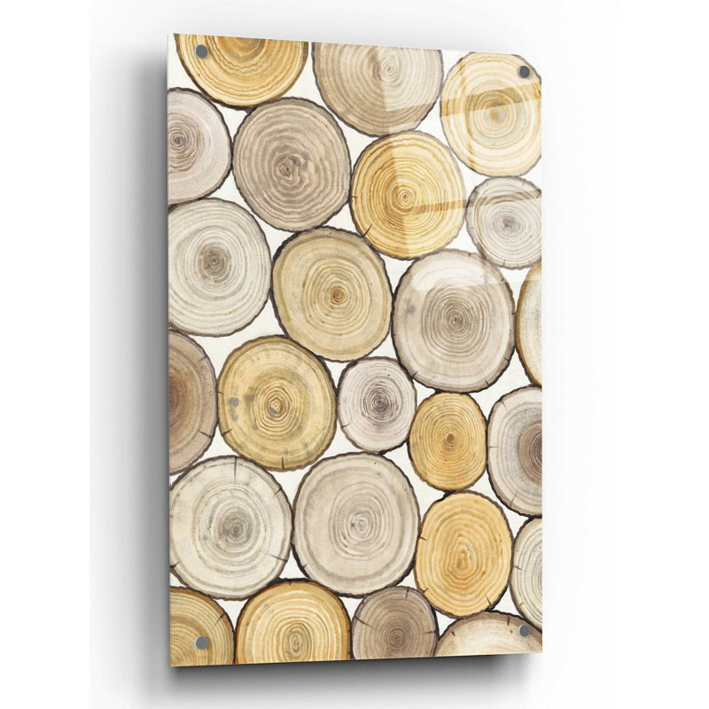 «Tree Ring Study II» par Tim O'Toole, art mural en verre acrylique, H 36 po x l 24 po x P 0,2 po