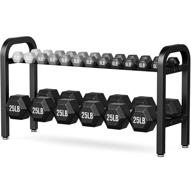 2 Tier Dumbbell Rack, Weight Rack for Home Gym