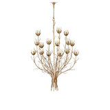 Star Magnolia Chandelier
