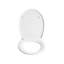 Toilet Seat PAPURI Soft Close Duroplast White-2007208979