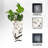 Funesvalle Pot Planter