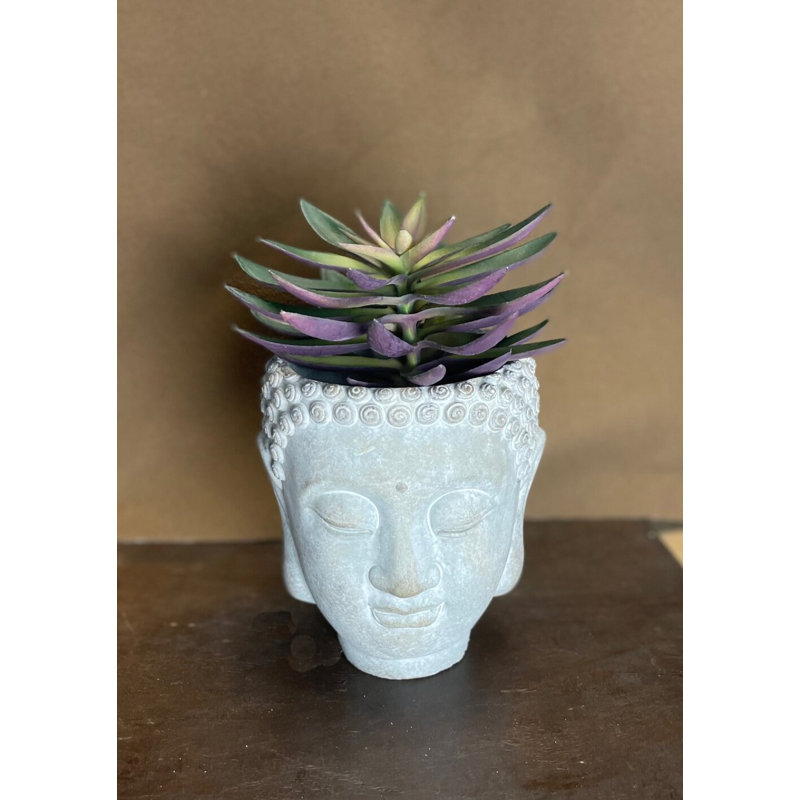 Kyza Wall Planter, 6.9" H x 5.9" w x 5.3" D