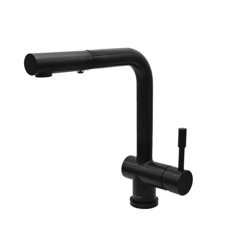 Lulani Nassau Pull Out Kitchen Faucet, Matte Black