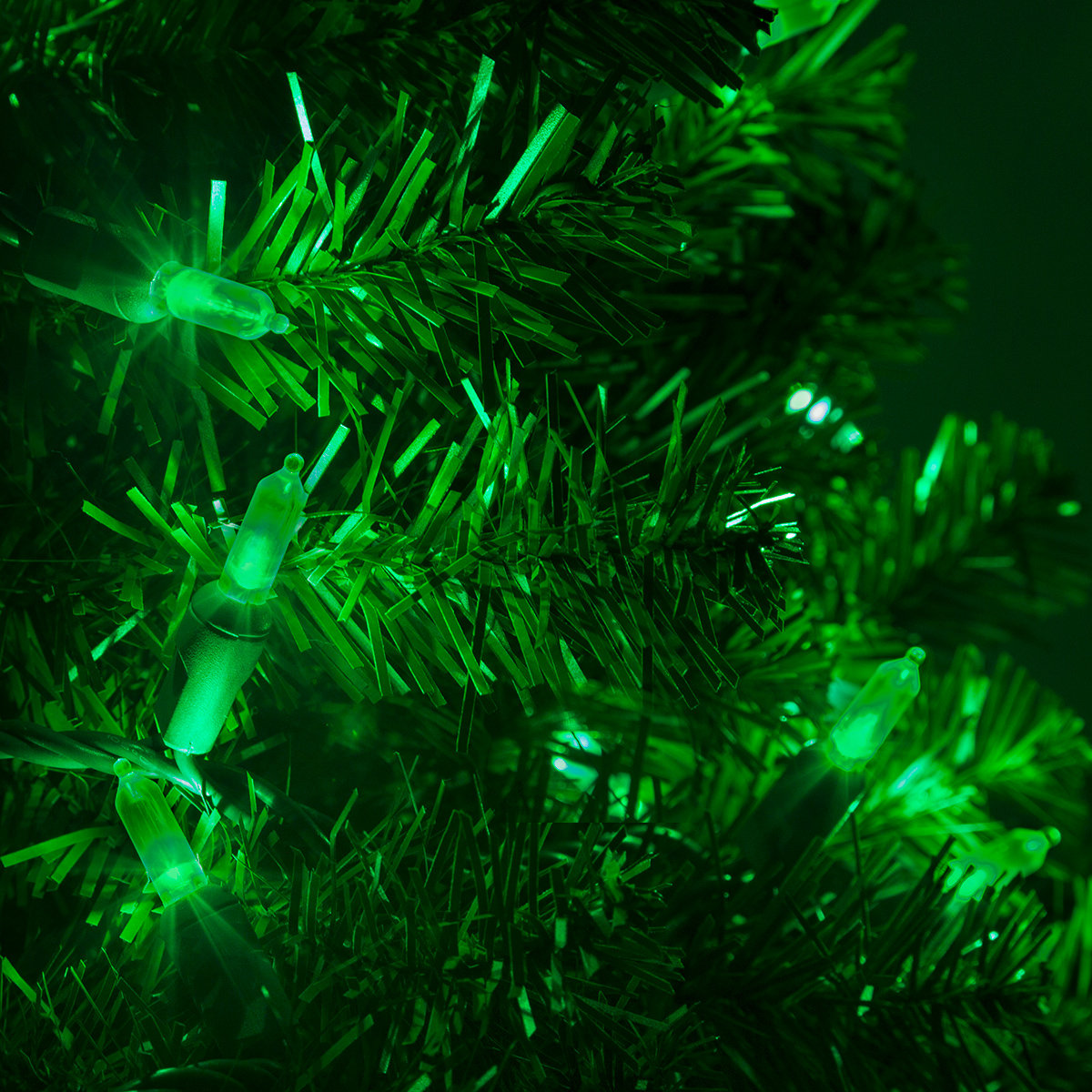 25.5' Steady LED String Lights, Green