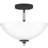 Fleischmann Glass Semi Flush Mount