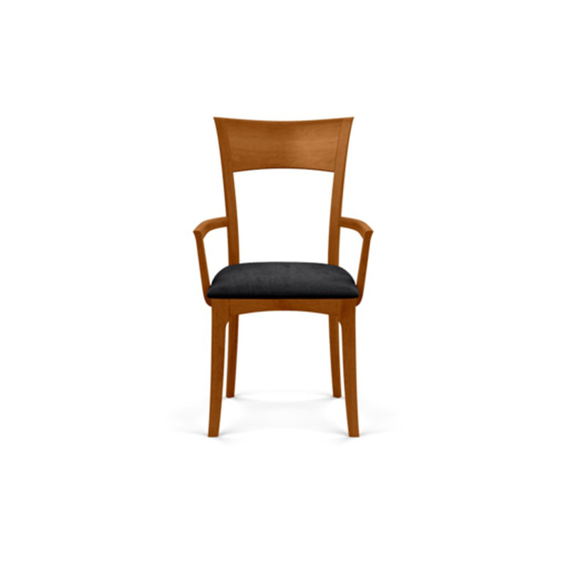Ingrid Upholstered Arm Chair, Autumn Cherry, Microseude Onyx