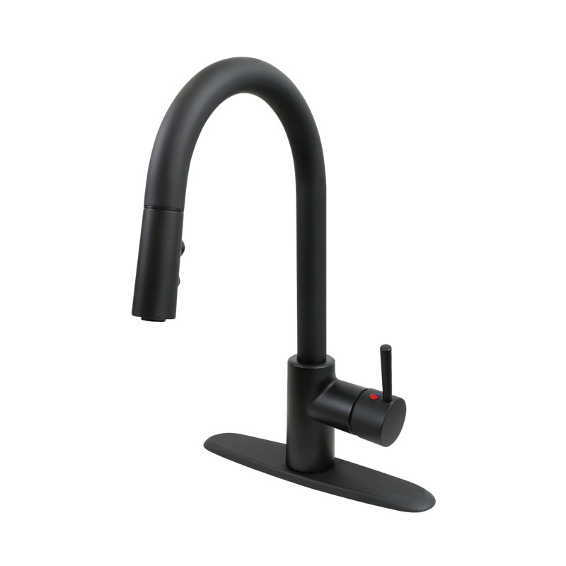 Highcraft Kitchen Faucet, Matte Black