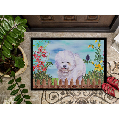 Non-Slip Outdoor Doormat
