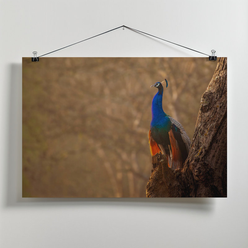 Wrapped Canvas Print, 81.28cm H x 121.92cm W